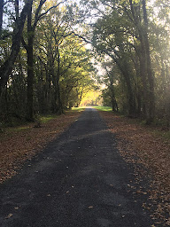 Photo n°31 de Chambres d'Hôtes Au Jardin d'Eden - Soulac Sur Mer à Grayan-et-l'Hôpital (Chambre d'hôtes)