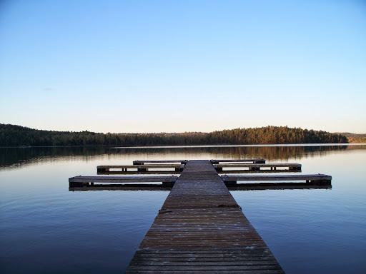 Camp Conewango - Visual