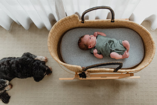 Lauren + Douglas Photography and Films | Townsville Birth & Lifestyle Storyteller - Thumbnail