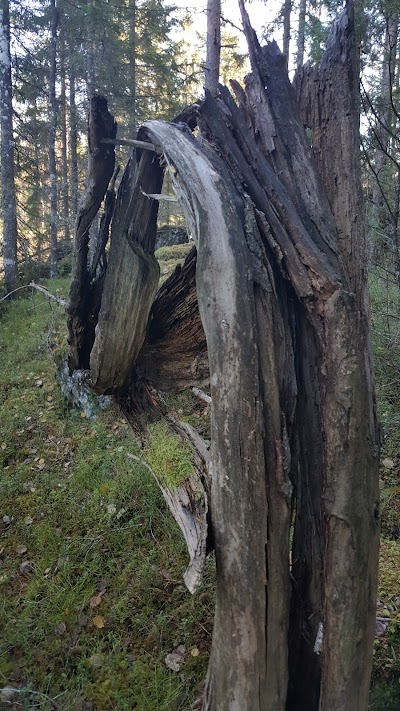 Photos of Ertehytta