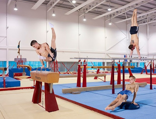 South Essex Gymnastics Club - Thumbnail