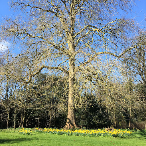 The Abbey, Sutton Courtenay - Thumbnail