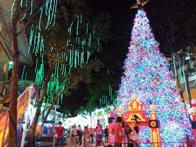 Photos of La Castellana