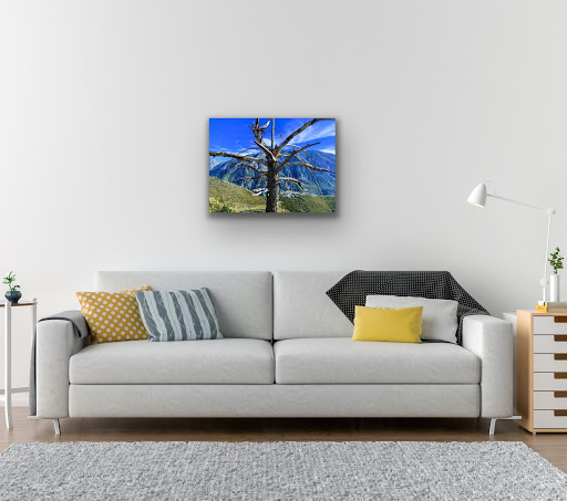 Photos Elevated - Thumbnail