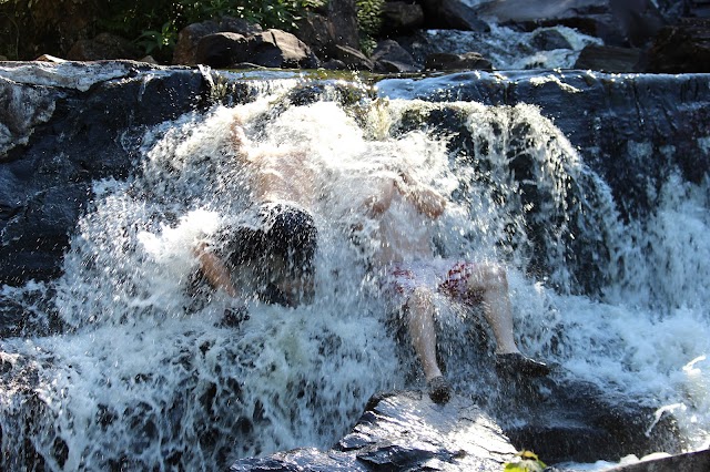 La chute aux rats