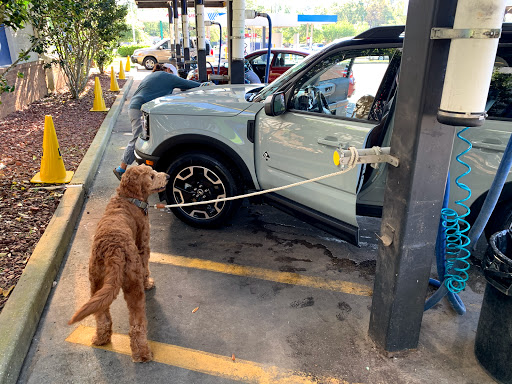 Rich's Car Wash - University - Thumbnail