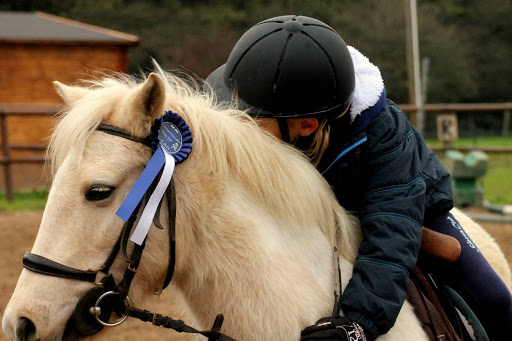 Equestrian Center De La Meilleraie - Thumbnail