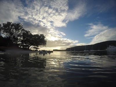 Photos of Hog Island