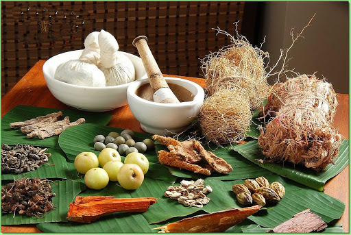 Healing Sparsh Kerala Ayurveda & Holistic Health