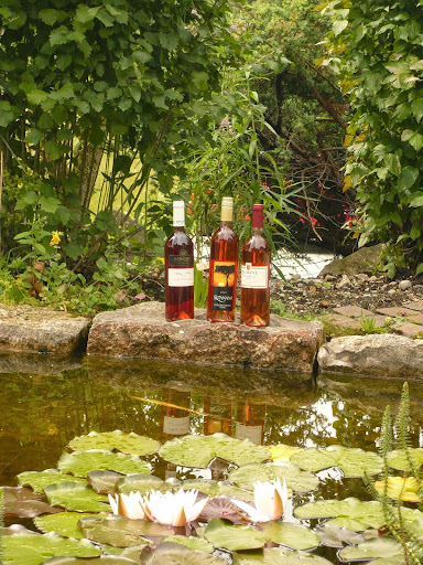 Kapwein - Visual