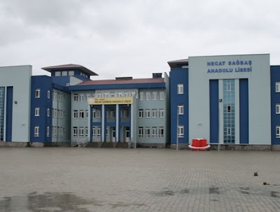 Necat Sağbaş High School