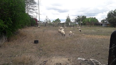 Photos of Leitoli Hotel