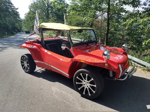 BuggyTours - Visual