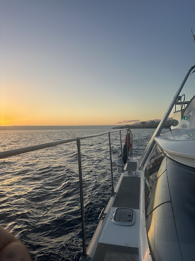 Monte Cristo Catamaran, 5-star Whale and Dolphin Tours, Boat Trips Tenerife - Thumbnail