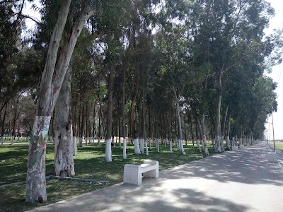 store