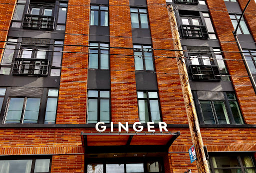 Ginger & Maude hair salon - Thumbnail