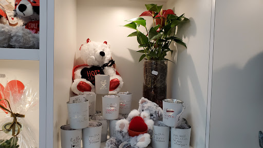 Ampleman Fleuriste - Visual