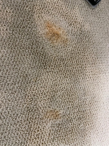 Fully Completely Inc Cleaning & Restoration