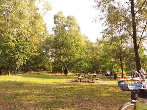 Dagcamping - Visual