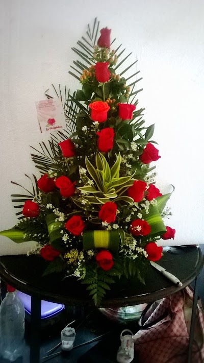 Photos of Orchid Florist