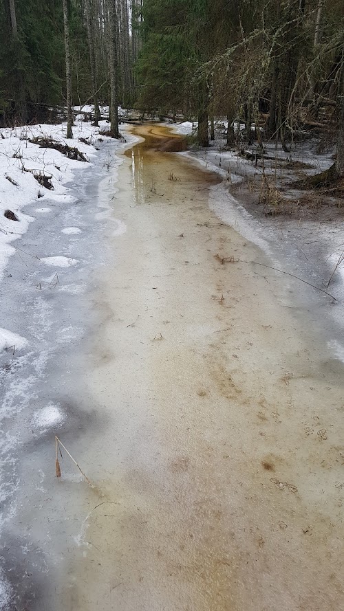 Kuuraniidu õpperada