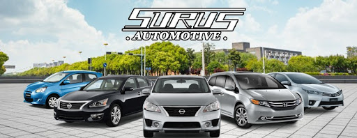 Surus Group - Visual