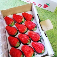 小さな農園 髭苺