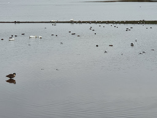 Herons Green Bay Parking - Thumbnail