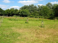 Trumpington Community Orchard cambridge