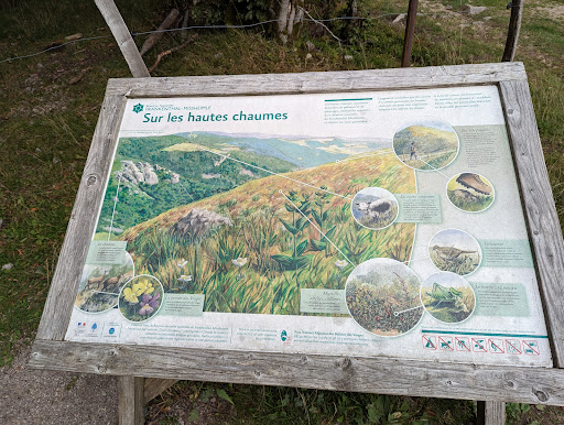 Sur les hautes chaumes