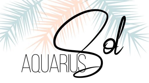 Aquarius Sol - Visual