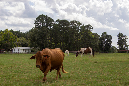Brewer Feed and Hay - Thumbnail