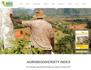 Photo n°2 de Innoa - Sécurité systèmes et réseaux informatiques à Prades-le-Lez (Entreprise de logiciels)