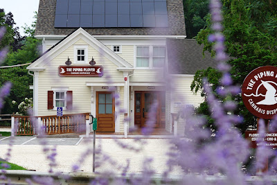 Photo of The Piping Plover: Recreational Cannabis Dispensary Wellfleet, Cape Cod