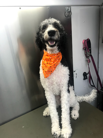 Wags and Whiskers Mobile Dog Grooming