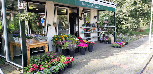 Bloemen En Planten Oud Hollandt - Thumbnail