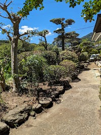 ガーデン・メンテナンス琴