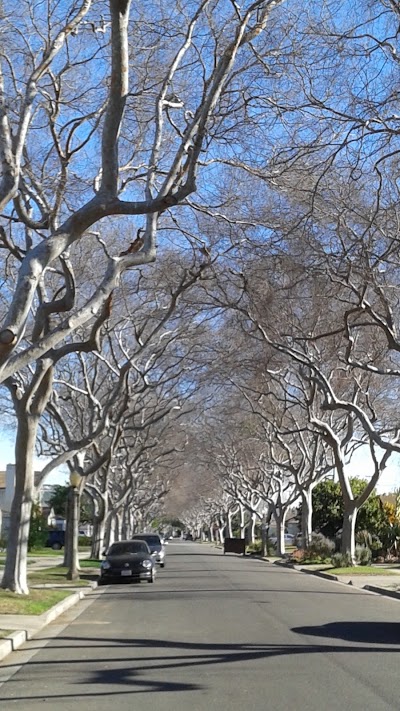 Public Art "Tree of Life"