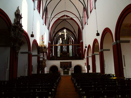 Dommuseum - Visual