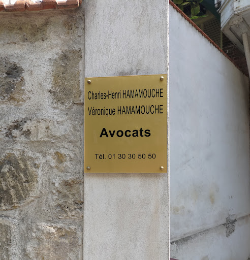 Hamamouche Véronique - Thumbnail