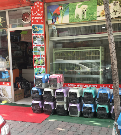 BATUHAN AKVARYUM VE PETSHOP