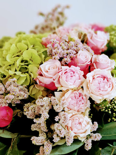 Mayflor - Visual