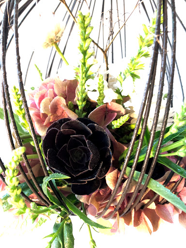 Babushka Flowers Gallery - Australia