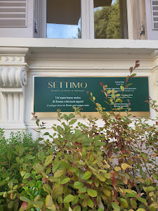 Settimo Roman Cuisine & Terrace photo