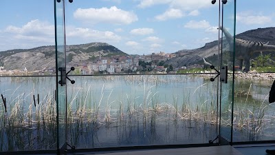 Photos of Restaurante Ars Natura