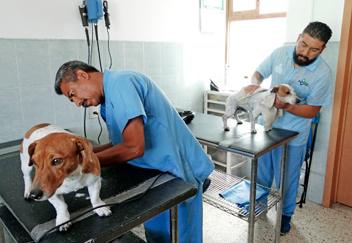 Hospital Veterinario Peques