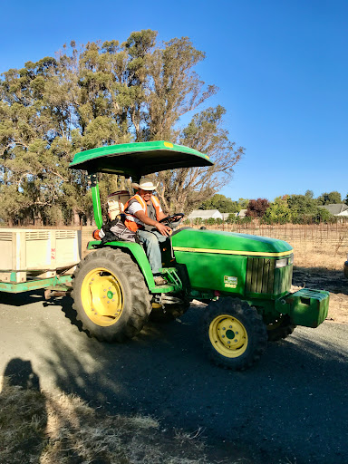 Farm to Bottle Vineyard Management - Thumbnail