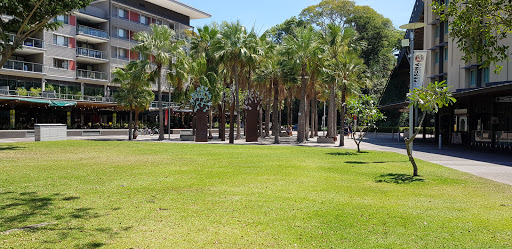 Peninsula Lawns