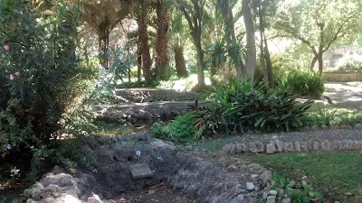 Photos of Kokusai
