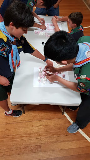 Box Hill North Scout Group Gallery - Australia